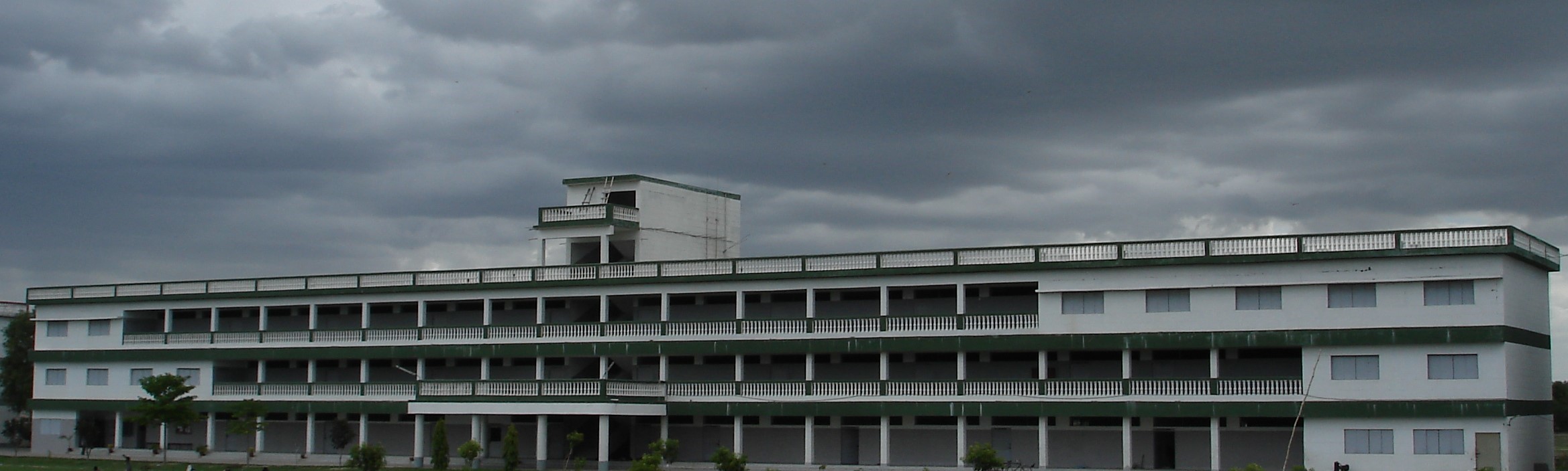 Slide 11